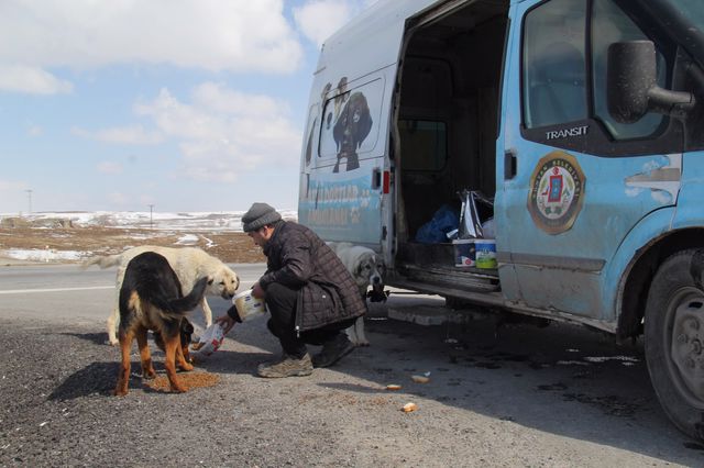 Kış Mevsiminde Sokak Hayvanları unutulmuyor.