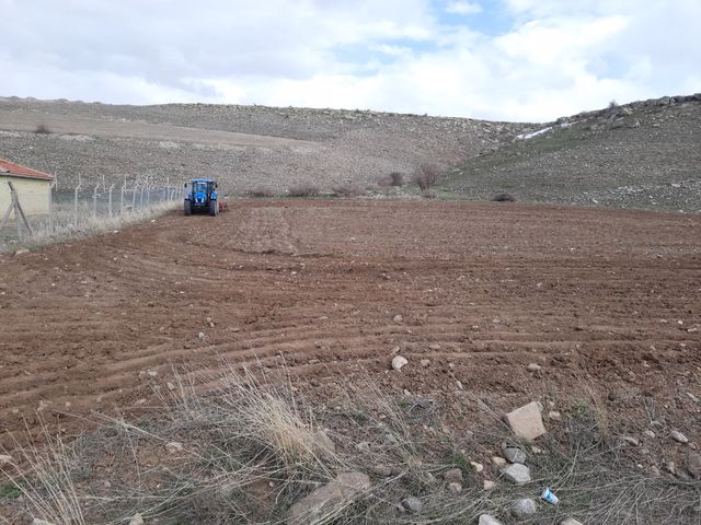 SOSYAL BELEDİYECİLİK KAPSAMINDA ASPİR EKİMİNE BAŞLADIK.