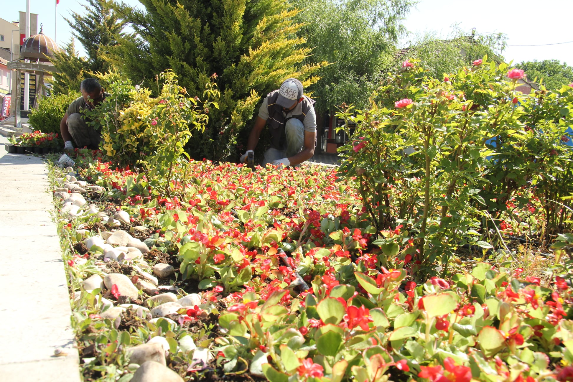 ​PARKLARDA,CADDELERDE,MEZARLIKLARDA ÇALIŞMALAR HIZ KESMEDEN SÜRÜYOR