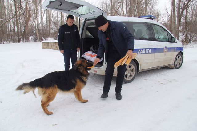 ZABITA EKİPLERİMİZ İLÇEMİZİN SESSİZ SAKİNLERİNİ KIŞ AYLARINDA DA YALNIZ BIRAKMADI