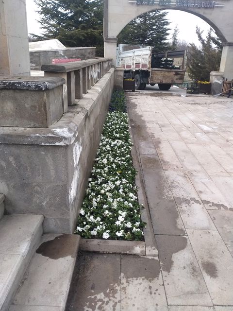 ​Yeşil Bünyan baharın renklerine kavuşmaya devam ediyor.