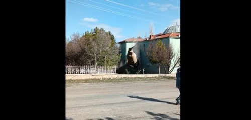 Büyüktuzhisar Mahallesi Cami minaresinin yıkımı gerçekleştirildi..