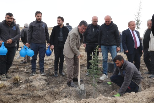 11 KASIM MİLLİ AĞAÇLANDIRMA GÜNÜ