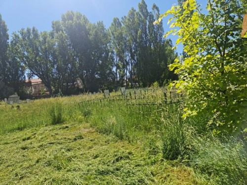 Mezarlıklarda çim, yabani ot biçme ve temizlik çalışmaları aralıksız devam ediyor.