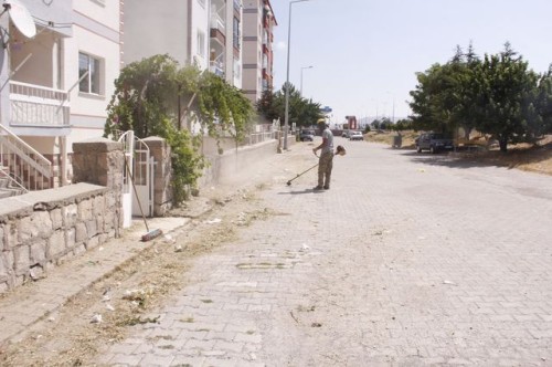 Ekiplerimiz ilçe genelinde çim biçme ve çevre düzenleme çalışmaları devam ediyor.