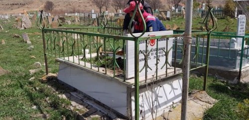 ​ŞEHİTLİĞİMİZ, PARK VE BAHÇELERİMİZ ÇİÇEK AÇTI