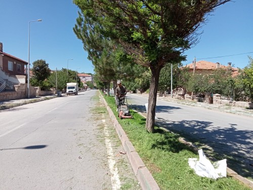 Park ve Bahçeler Müdürlüğü ekipleri, yabani ot, çevre temizliği ve çim biçme çalışmaları yapıyor.