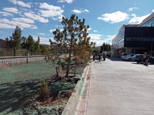 ​BÜNYAN DEVLET HASTANESİ ÇEVRESİNE PÜSKÜRTME ÇİM UYGULANARAK YEŞİL ALAN ÇALIŞMASI YAPILDI